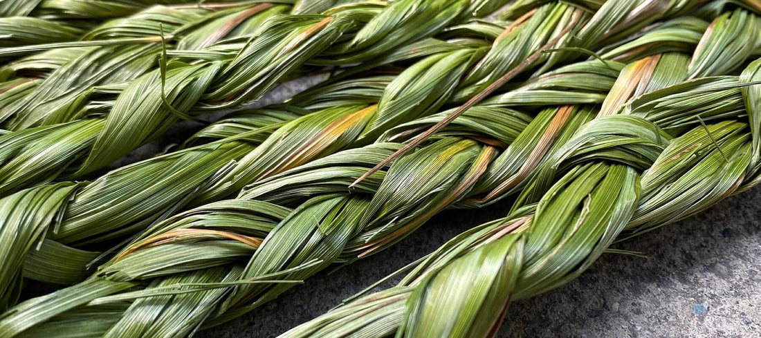 Sweetgras zöpfe