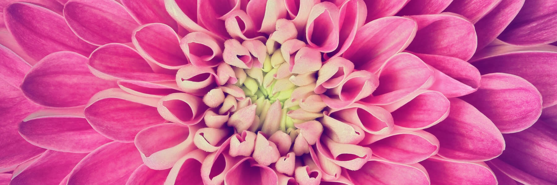 Blüten räuchern