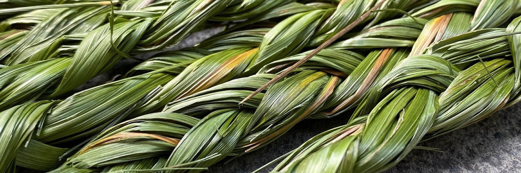 Sweetgrass