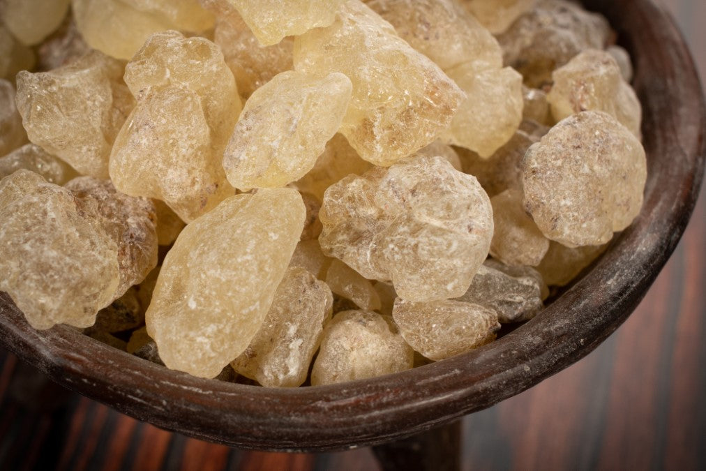 Dammar weiß groß nahaufnahme RW9529