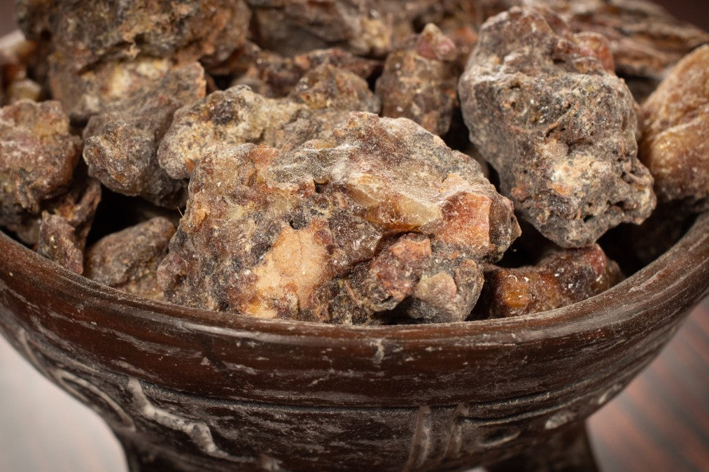 picea Harz nahaufnahme RW5772