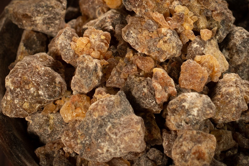 Honigweihrauch nahaufnahme RW9661