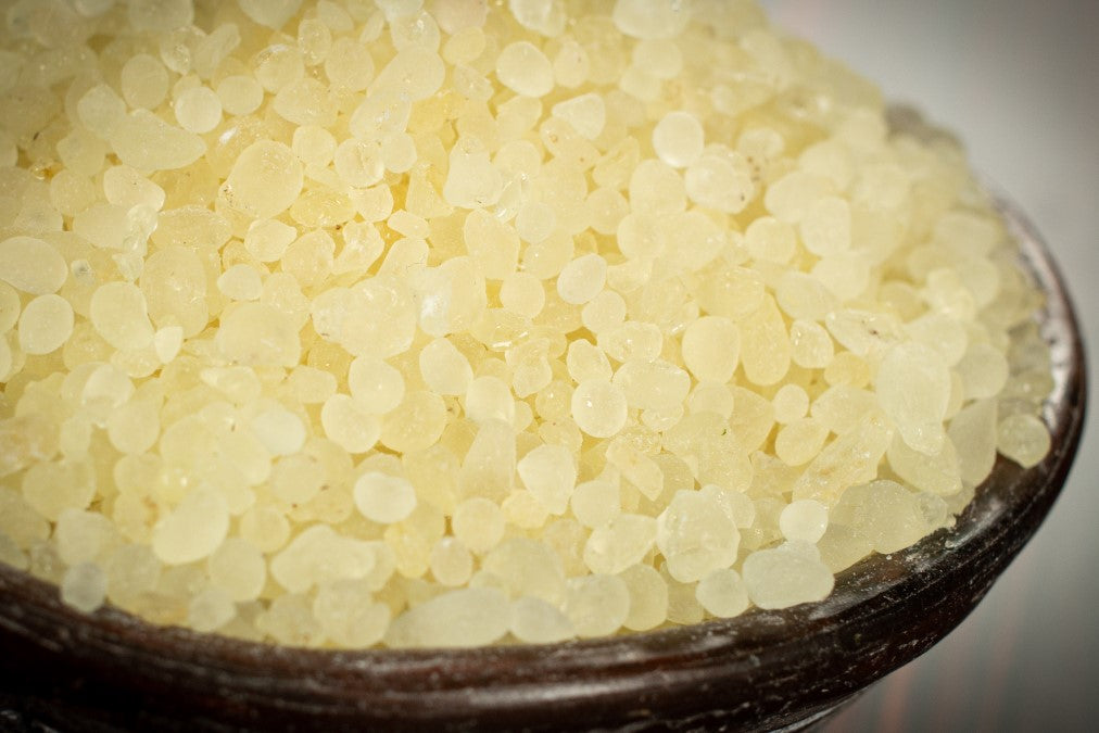 Mastix chios naufnahme in schale RW4083