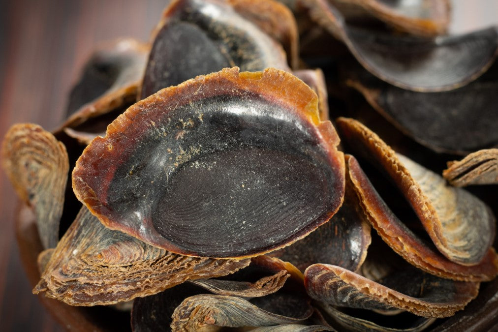 onycha nahaufnahme RW9868