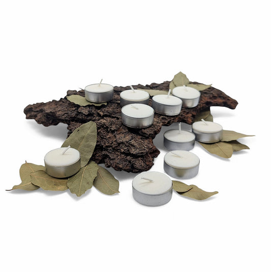 10 Teelichter aus nachhaltiger Biomasse
