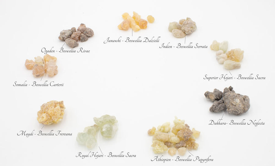 Weihrauch-Probeset - 10 Sorten