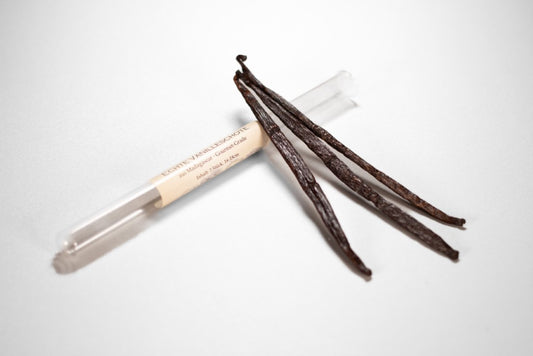 Bourbon Vanille aus Madagaskar