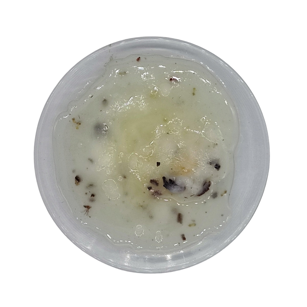 kiefernharz in schale