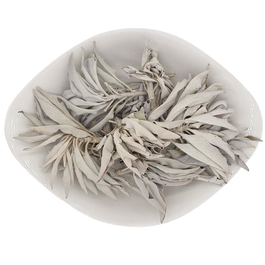 white sage cluster in schale