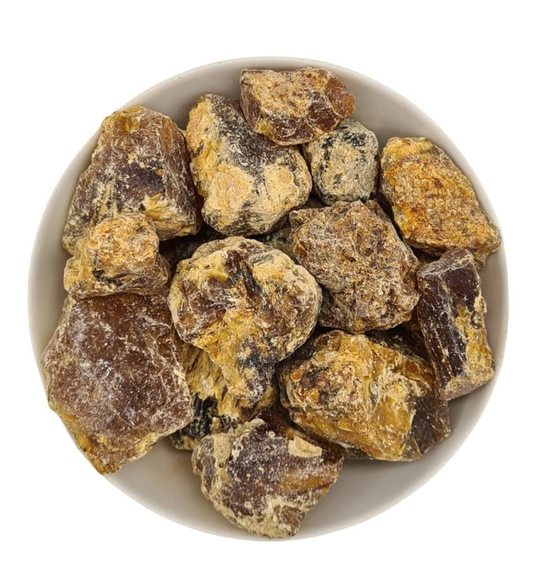 Kauri Copal Neuseeland