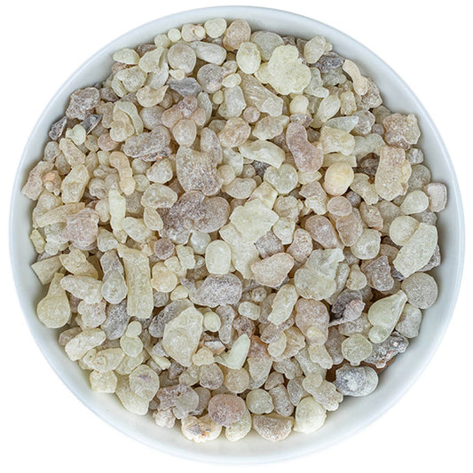 Weihrauch klein und fein aus Oman - Boswellia sacra