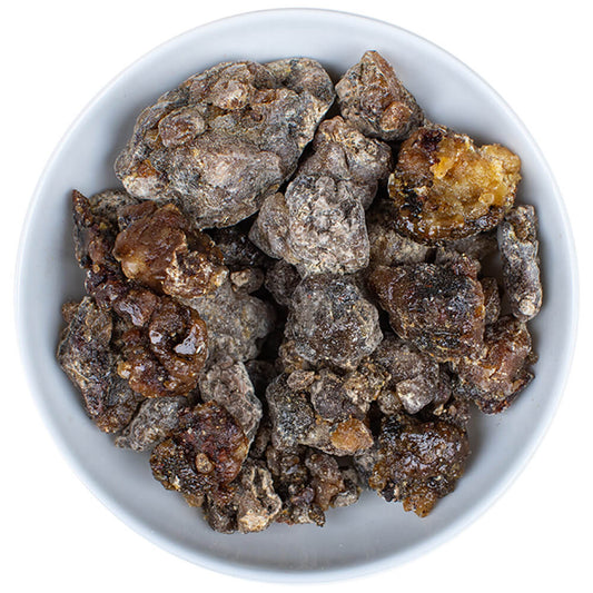 Zirbenharz aus Sibirien - Pinus Sibirica cembra