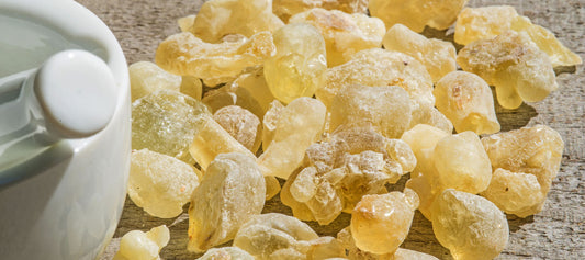 Boswellia serrata – Weihrauch aus Indien