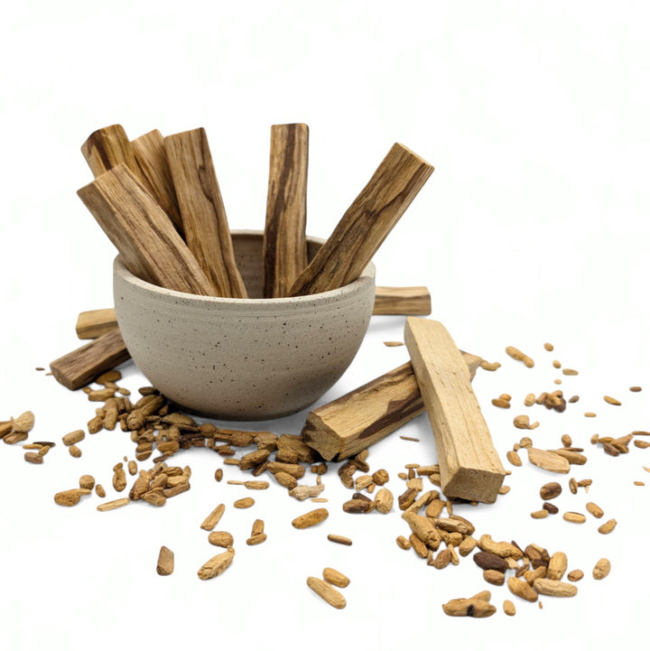 Palo Santo - heiliges Holz - Bursera graveolens - große und harzreiche Stücke