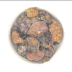 Balsam von Gilead/biblische Myrrhe - Commiphora gileadensis - 25g