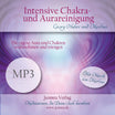 Intensive Chakra- und Aurareinigung - MP3 (Download)