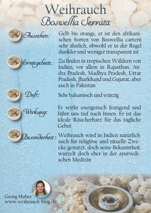 Weihrauch aus Indien - Boswellia serrata - 1. Grad