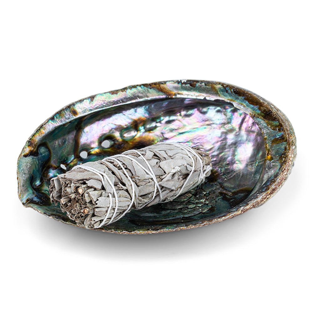 Abalone Schale mit Smudge Stick weißer Salbei