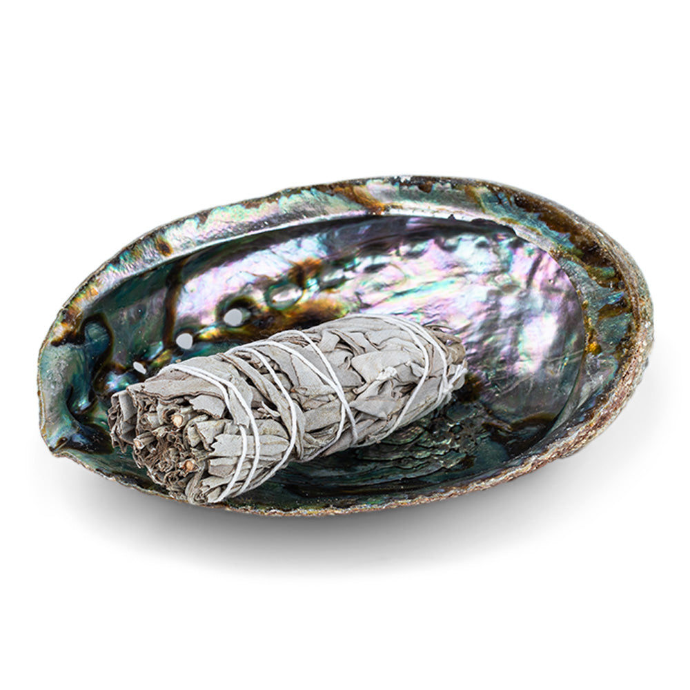 Abalone Schale mit Smudge Stick weißer Salbei RW3032