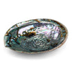 Dunkle Abalone-Schale aus Mexiko